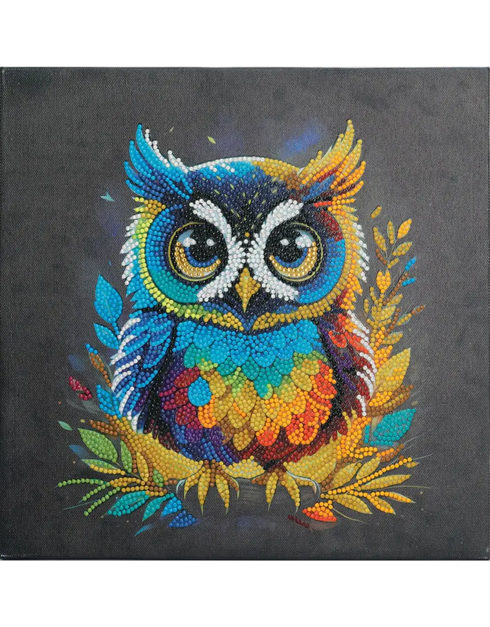 D.I.Y Crystal Art Kit Crystal Art Medium Framed Kit - Owl
