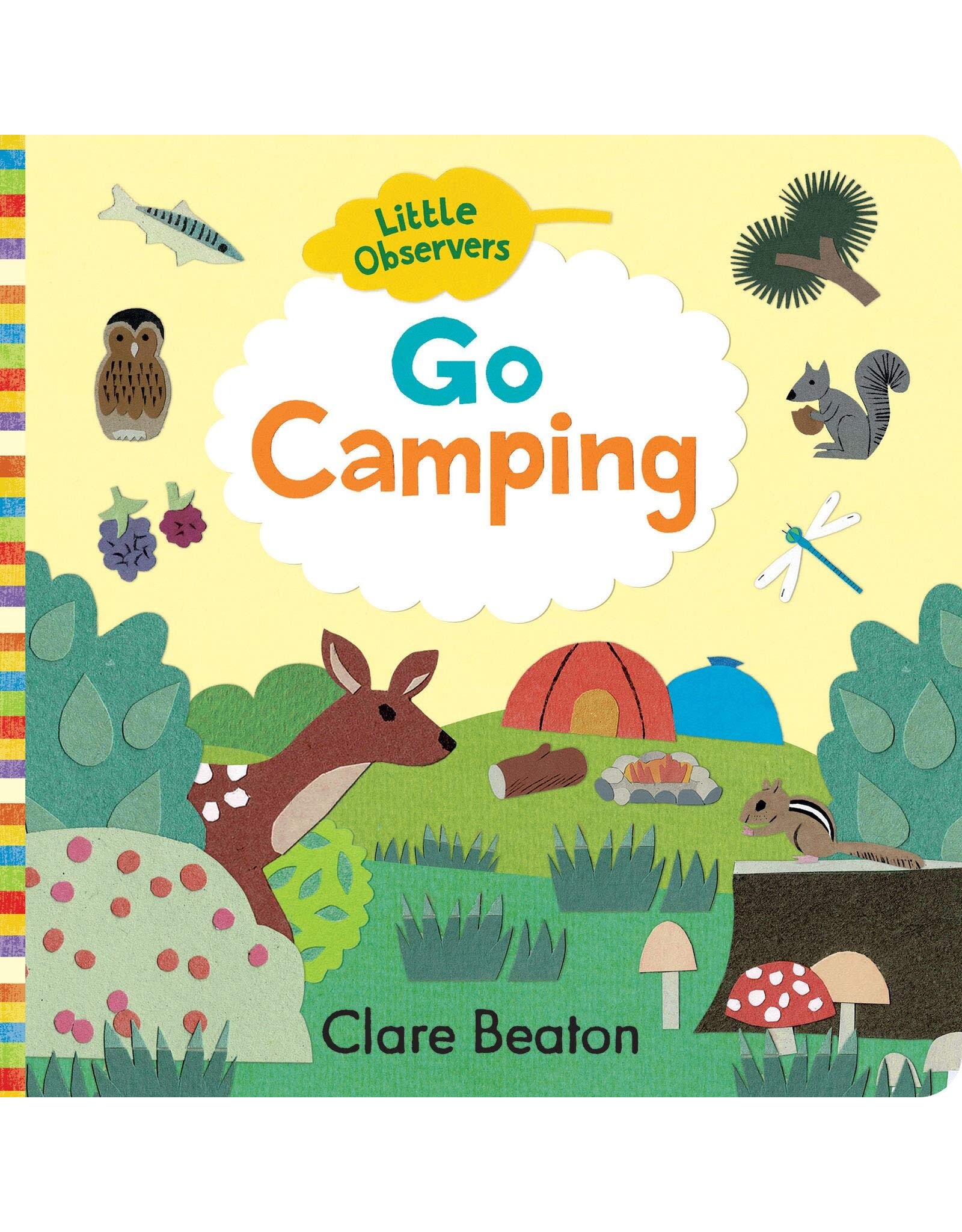 Little Observers: Go Camping