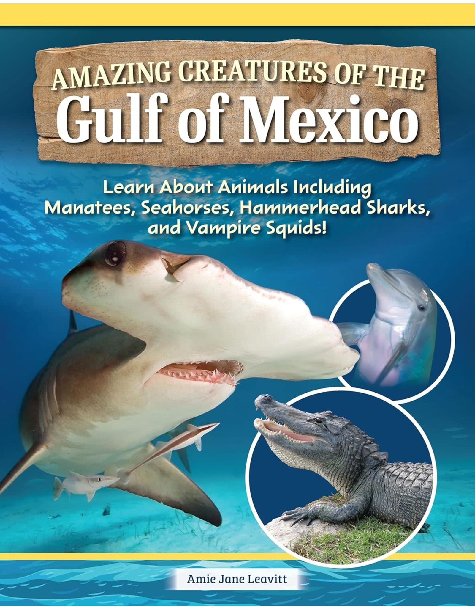 Amazing Creatures of the Gulf of Mexico