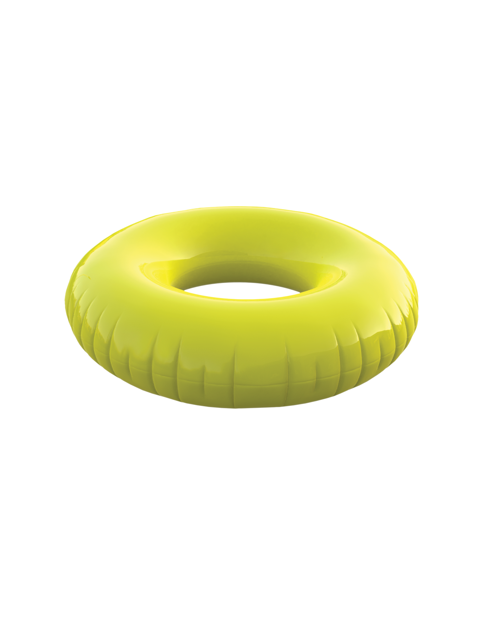 Inflatable Ring Pool Float