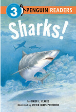 Sharks!