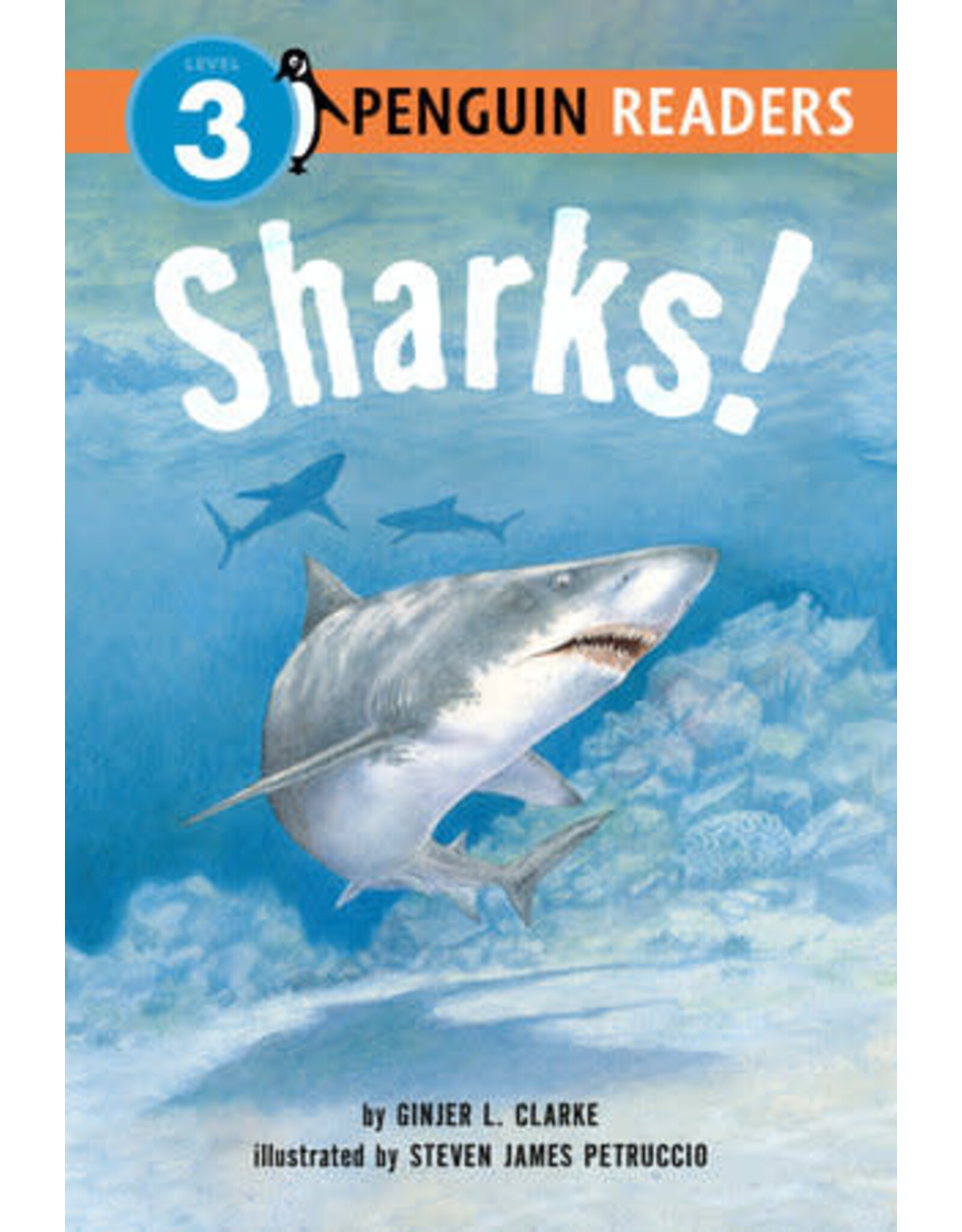 Sharks!