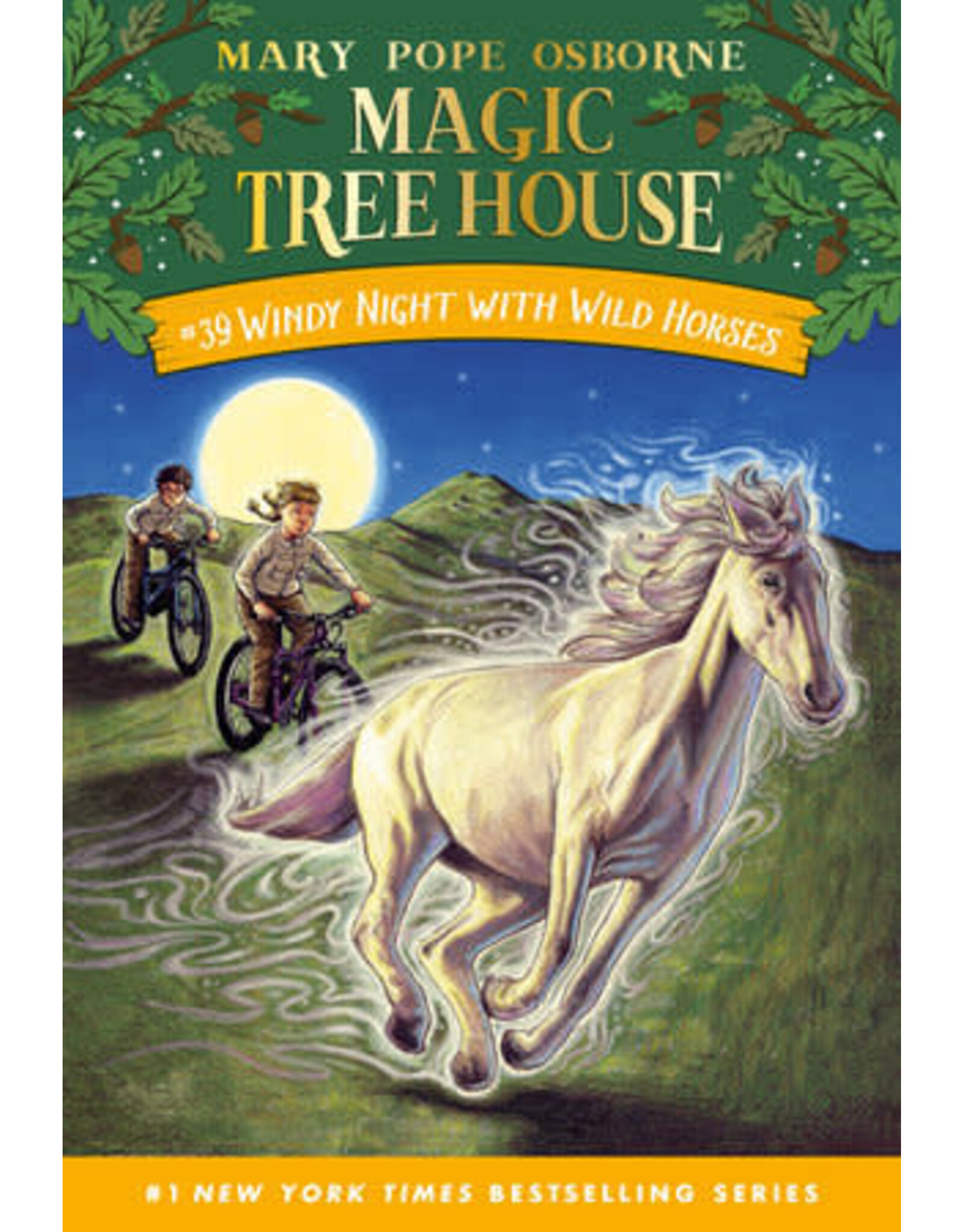 Magic Tree House: Windy Night with Wild Horses