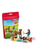 Schleich Picnic with Lisa