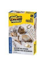 Thames & Kosmos I Dig It! Real Fossils Excavation Kit
