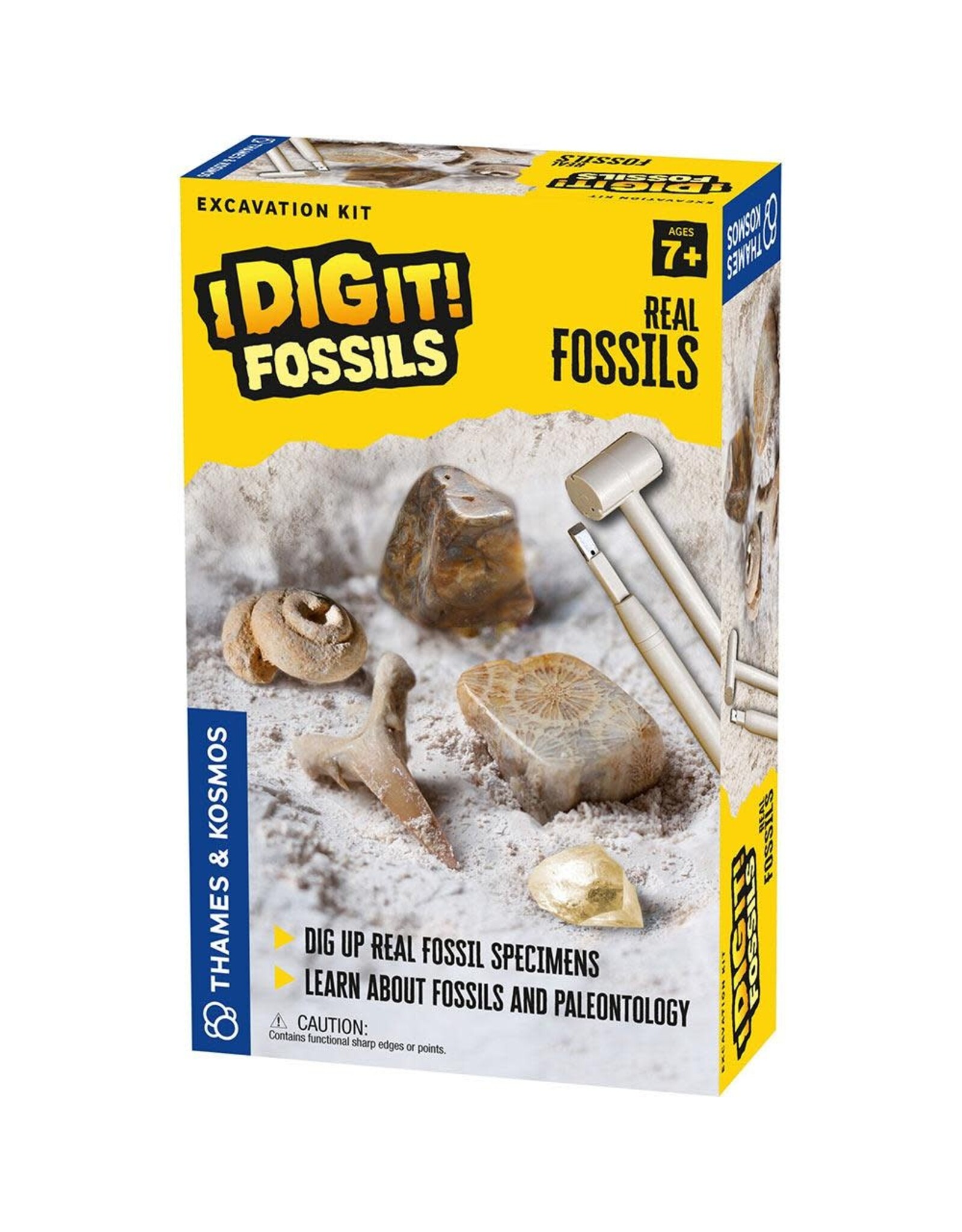 Thames & Kosmos I Dig It! Real Fossils Excavation Kit
