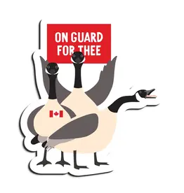 I'll Know It When I See It On Guard for Thee Canadian Geese Magnet