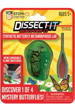Dissect It Discover It - Synthetic Butterfly Metamorphosis Lab