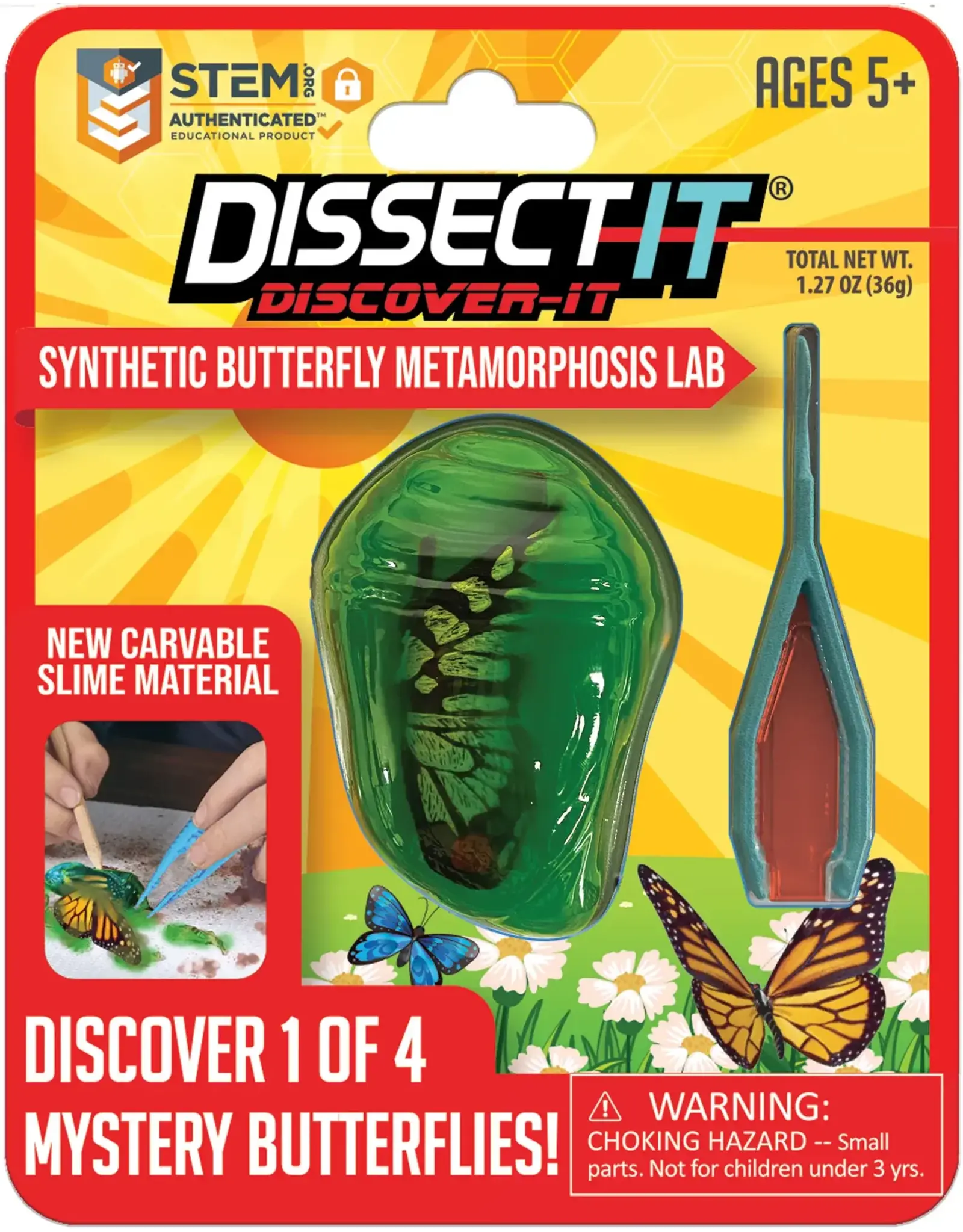 Dissect It Discover It - Synthetic Butterfly Metamorphosis Lab