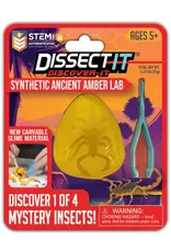 Dissect It Discover It - Synthetic Ancient Amber Lab