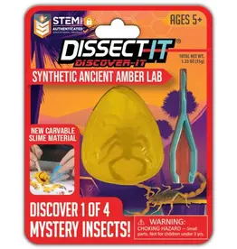 Dissect It Discover It - Synthetic Ancient Amber Lab