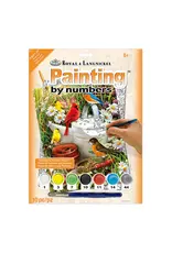 Royal & Langnickel Paint by Numbers: Garden Birds