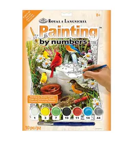 Royal & Langnickel Paint by Numbers: Garden Birds