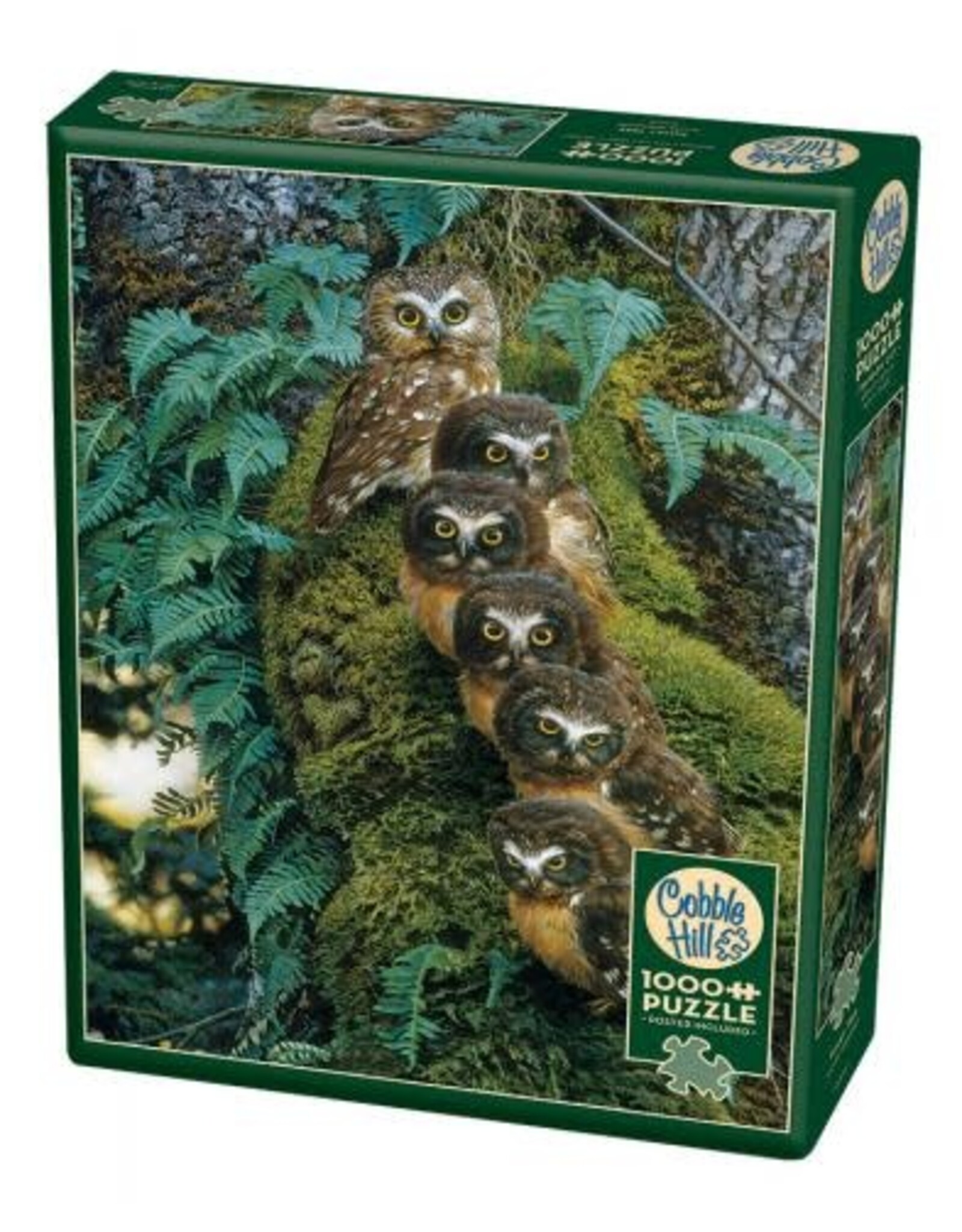 Cobble Hill Family Tree 1000 pc