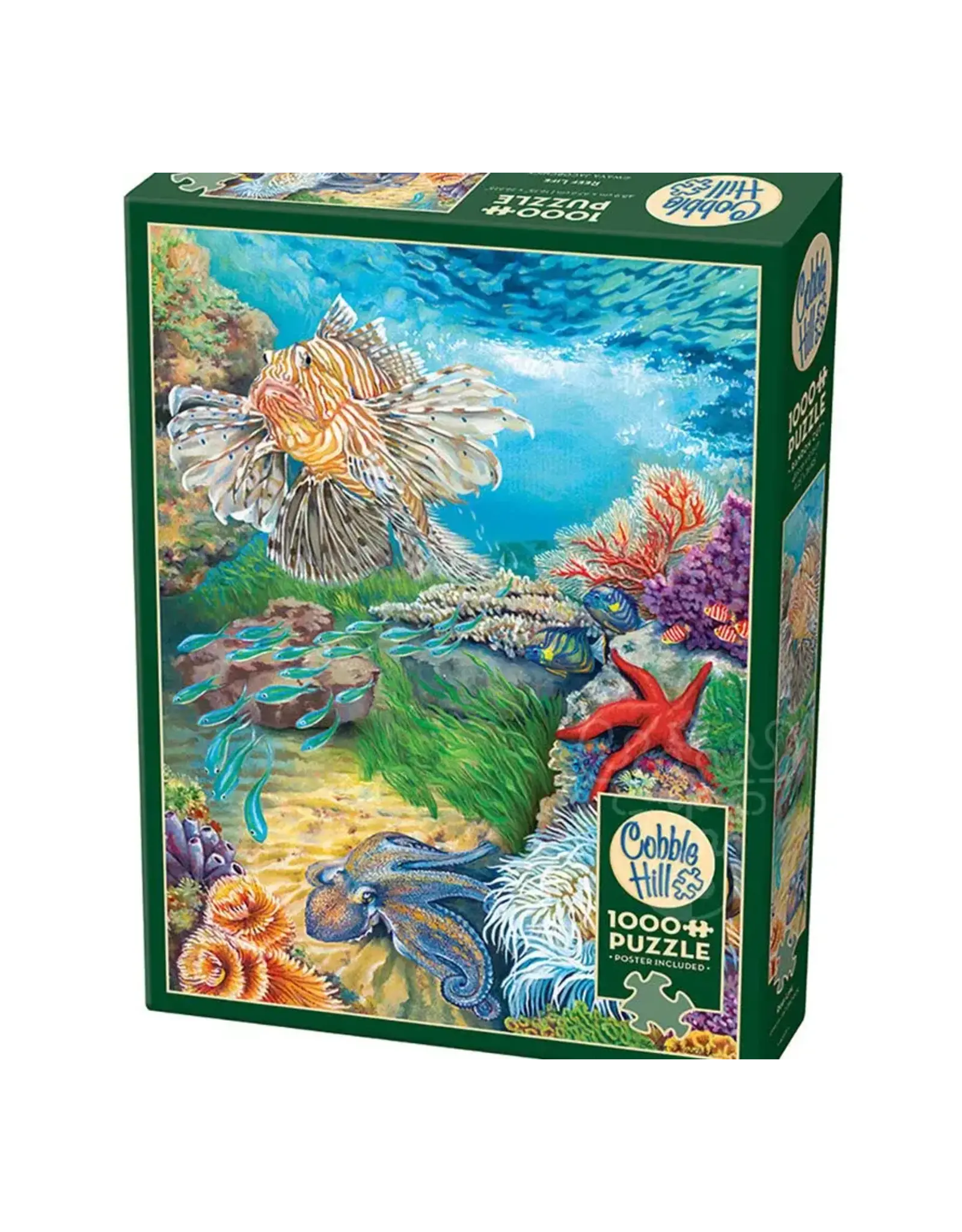 Cobble Hill Reef Life 1000pc
