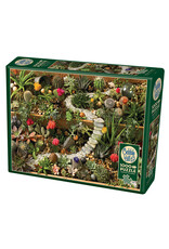 Cobble Hill Succulent Garden 1000 pc
