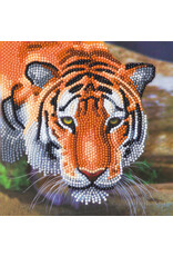 D.I.Y Crystal Art Kit Crystal Art Card Kit - Tiger