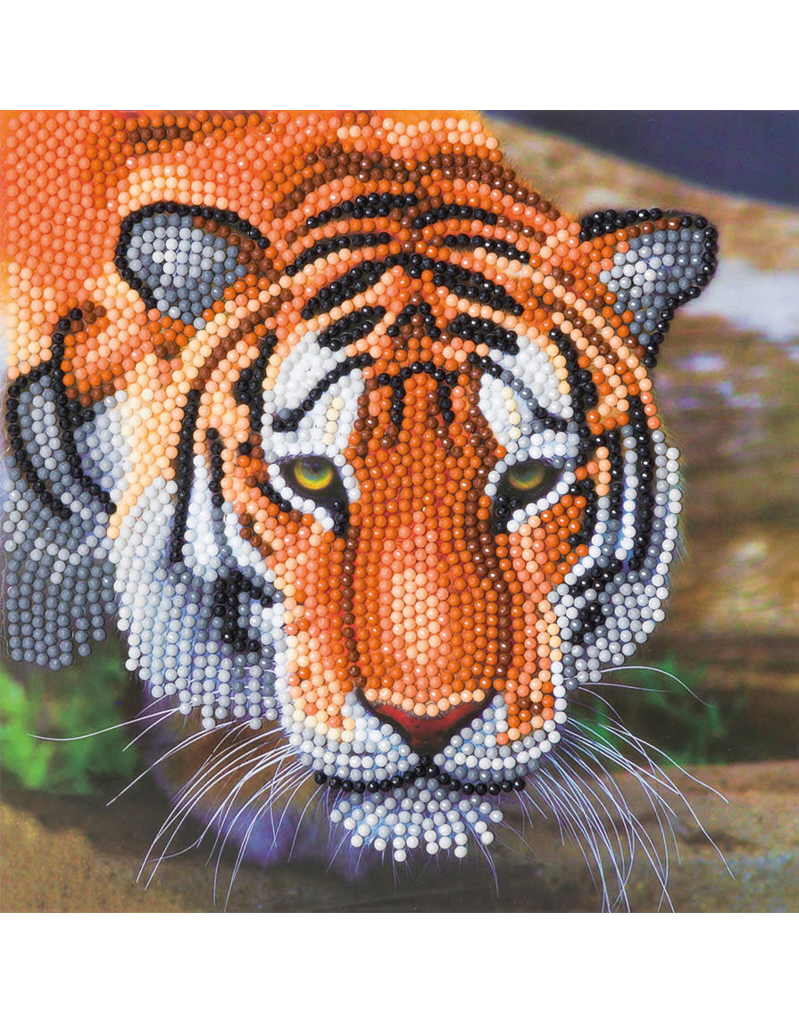 D.I.Y Crystal Art Kit Crystal Art Card Kit - Tiger