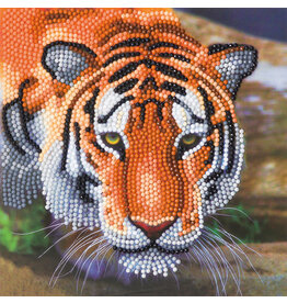 D.I.Y Crystal Art Kit Crystal Art Card Kit - Tiger