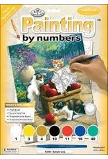 Royal & Langnickel Paint by Number: Bumper Crop