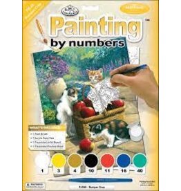 Royal & Langnickel Paint by Number: Bumper Crop