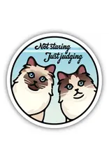 Stickers Northwest Not Staring Just Judging Cats Sticker