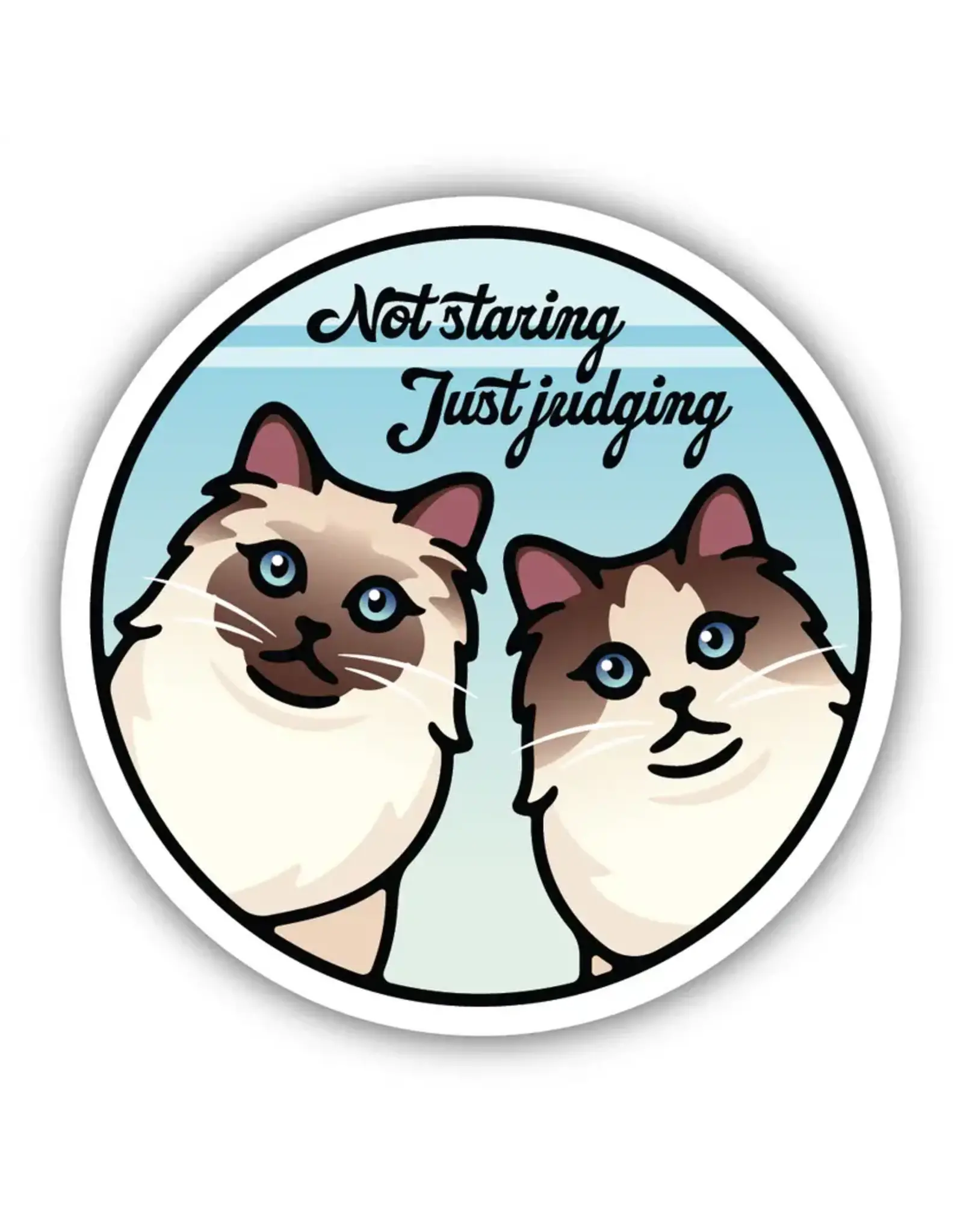 Stickers Northwest Not Staring Just Judging Cats Sticker