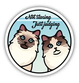 Stickers Northwest Not Staring Just Judging Cats Sticker