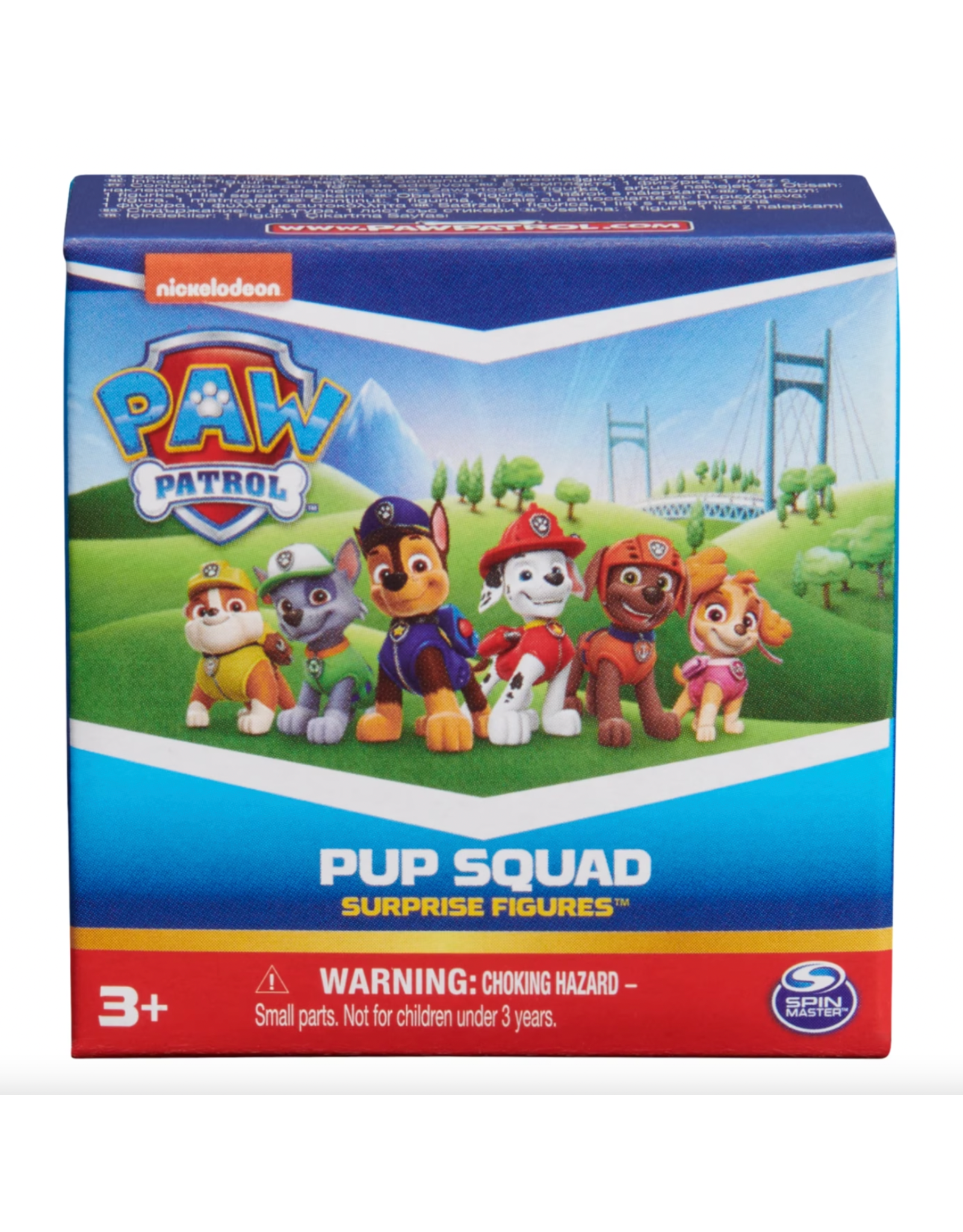 Spin Master Paw Patrol Pup Squad Figure Blind Box