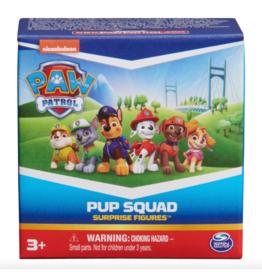 Spin Master Paw Patrol Pup Squad Figure Blind Box