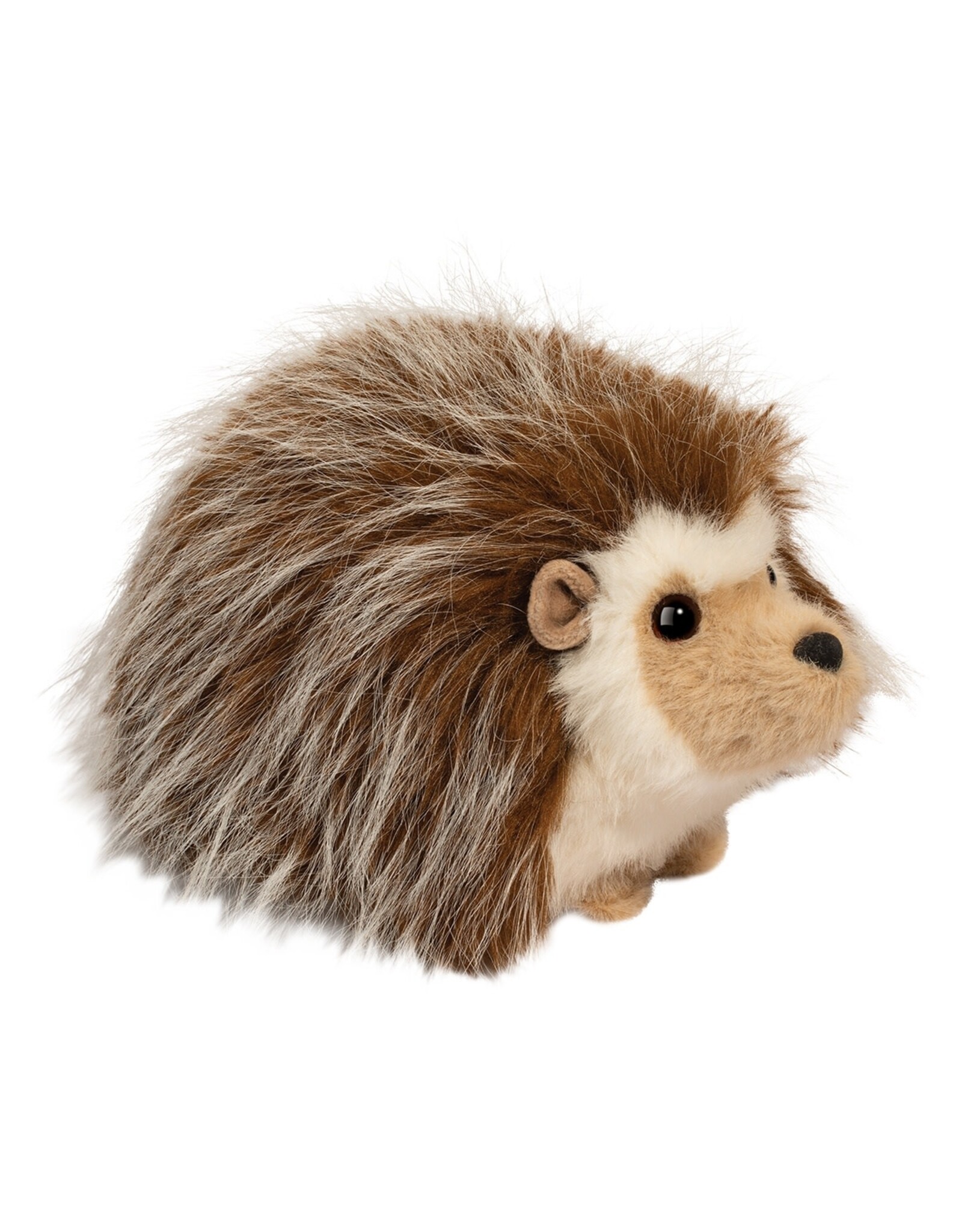 Douglas Bristle Hedgehog