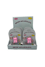 Grow an Axolotl Carded