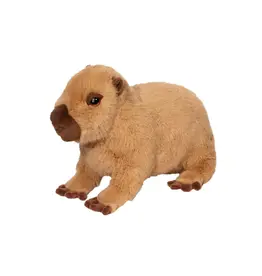 Douglas Chattie Capybara Super Soft