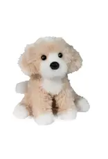 Douglas Darcy Golden Doodle