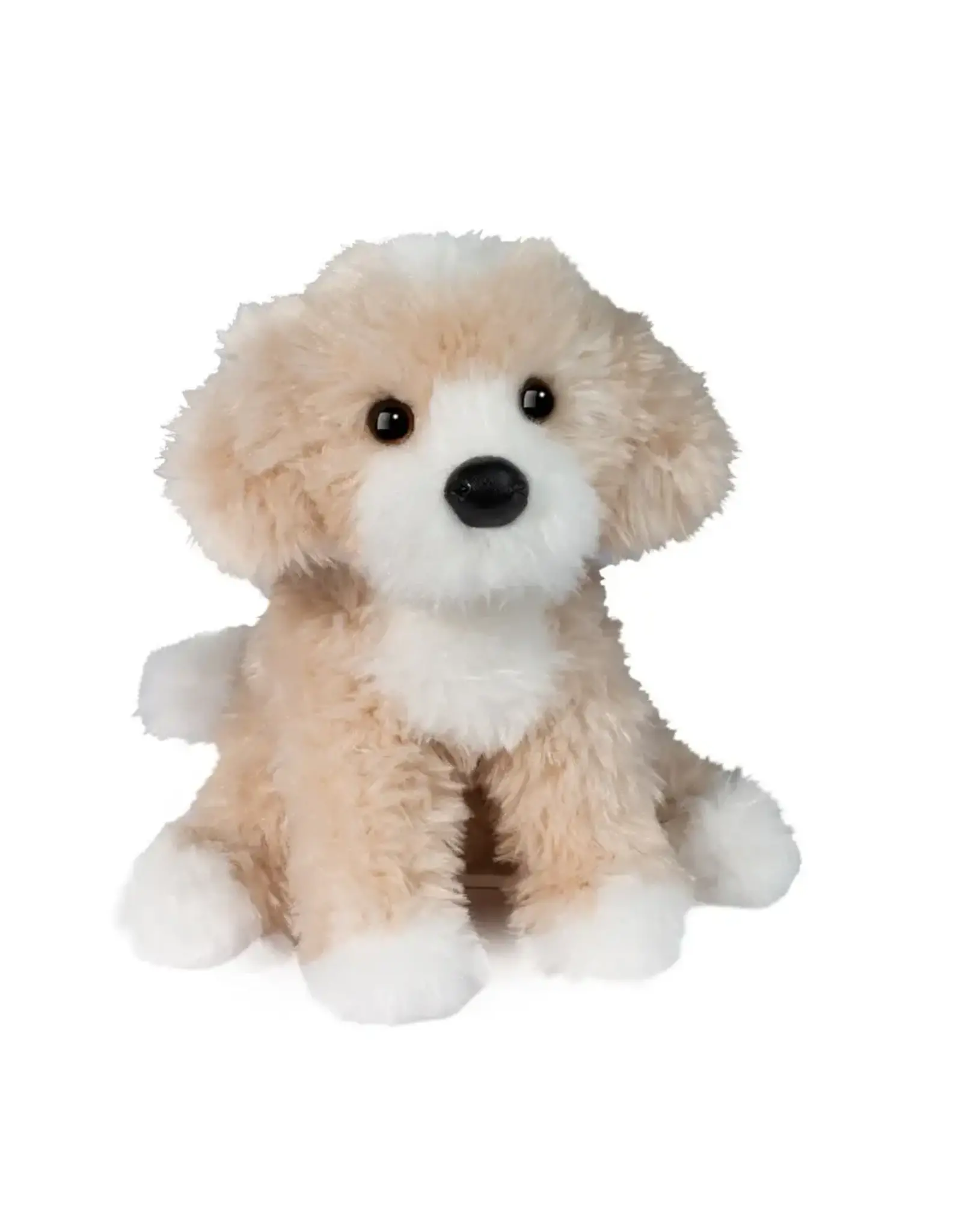 Douglas Darcy Golden Doodle