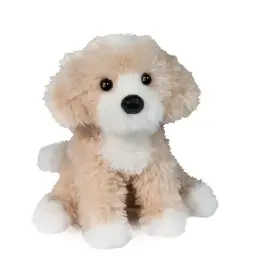 Douglas Darcy Golden Doodle Douglas Darcy Golden Doodle