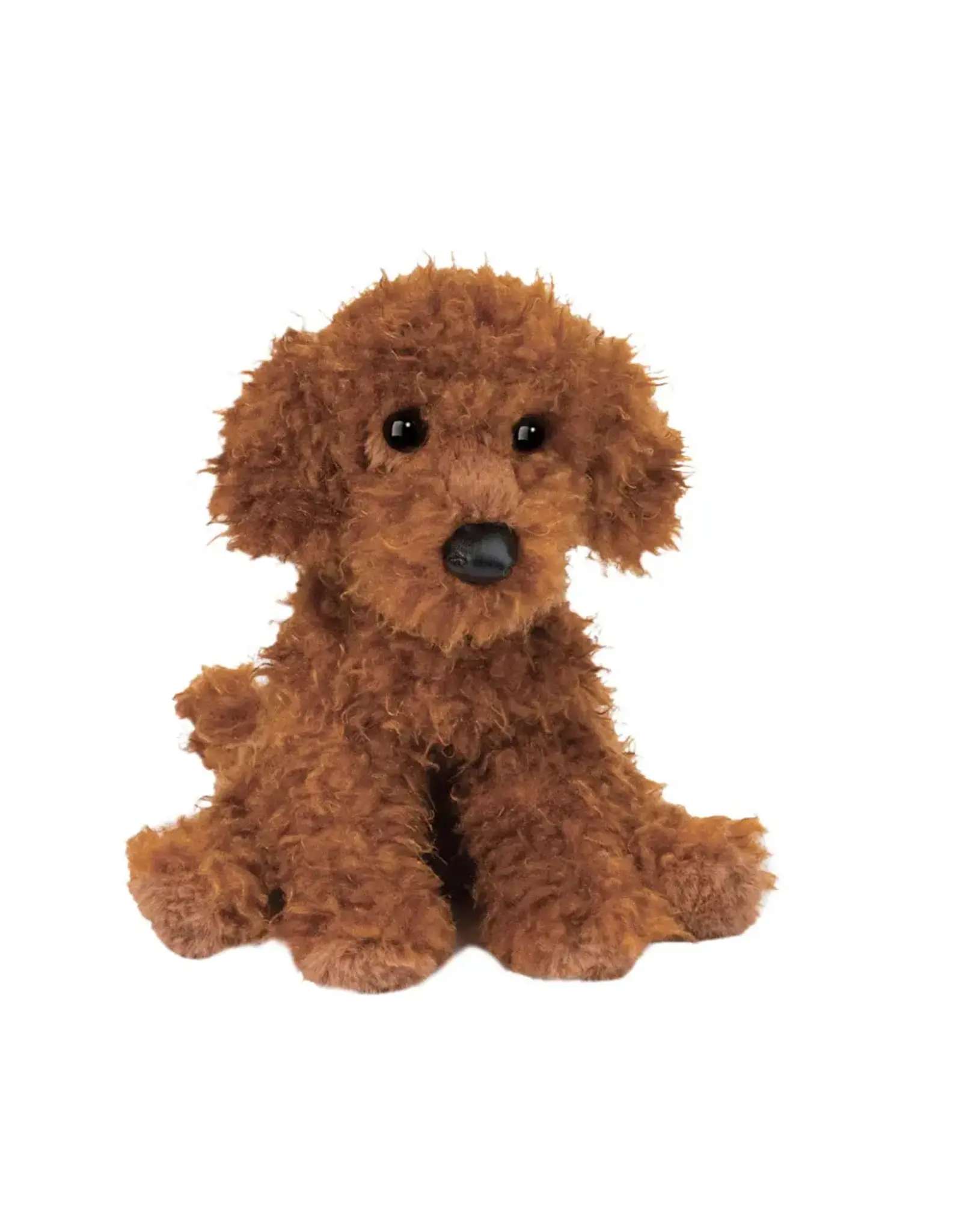 Douglas Ginger Miniature Poodle