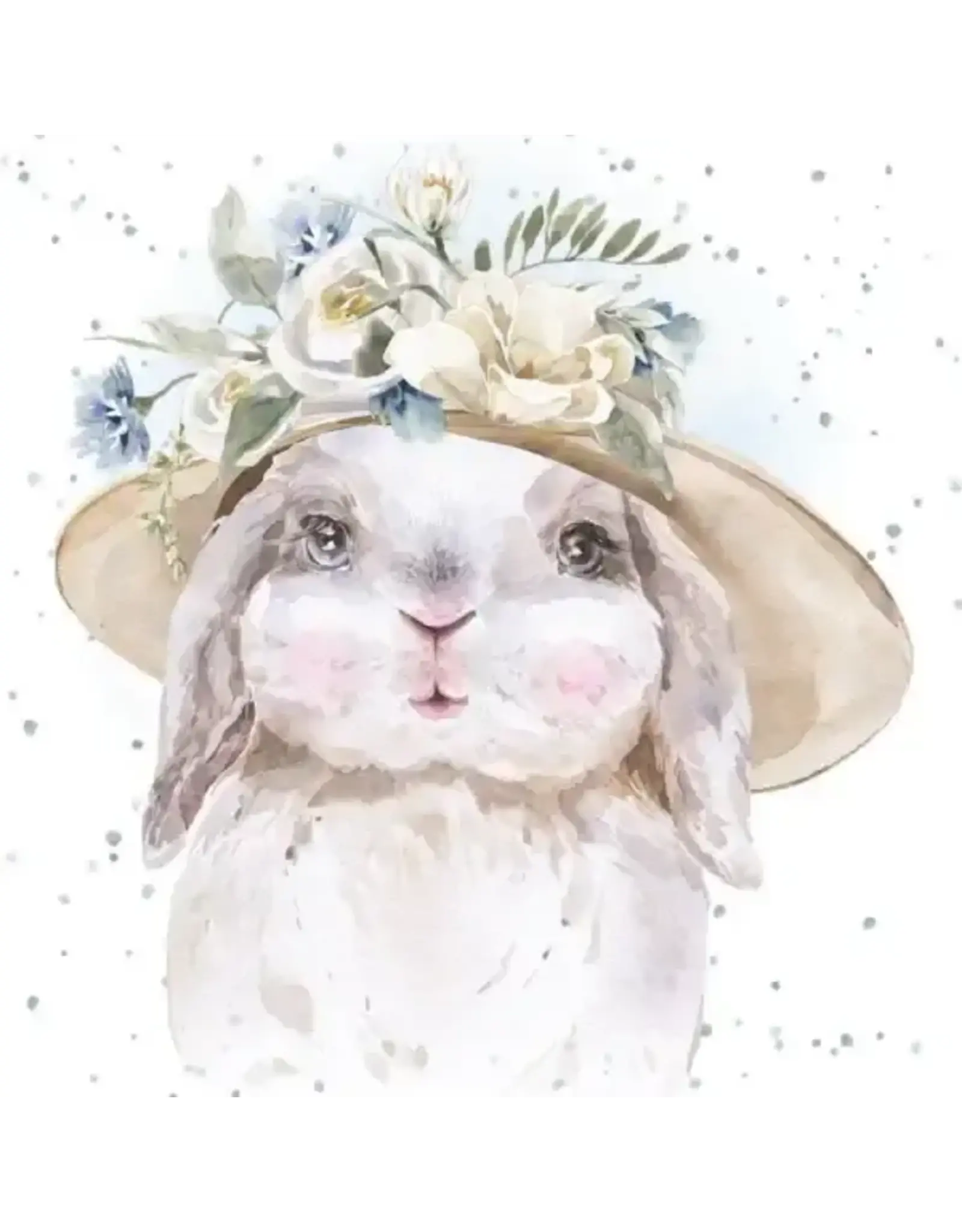 Sunday Best Enclosure