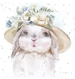 Sunday Best Enclosure