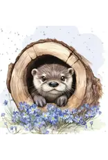 Little Hideaway Enclosure