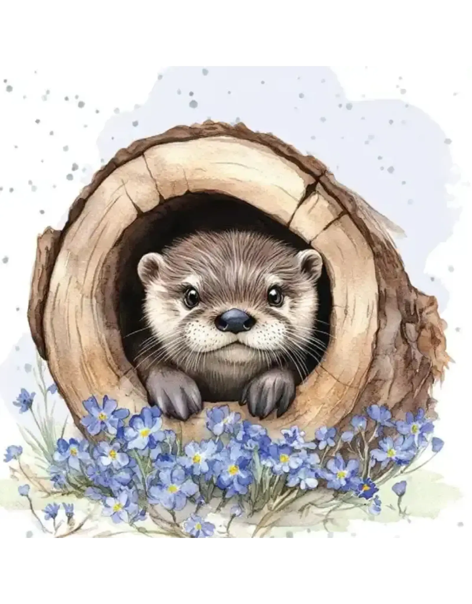 Little Hideaway Enclosure