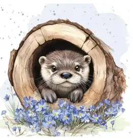 Little Hideaway Enclosure