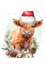 Hat Hair, Don't Care Enclosure