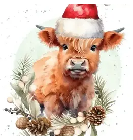 Hat Hair, Don't Care Enclosure