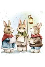 A Bunny Carol Enclosure