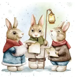 A Bunny Carol Enclosure