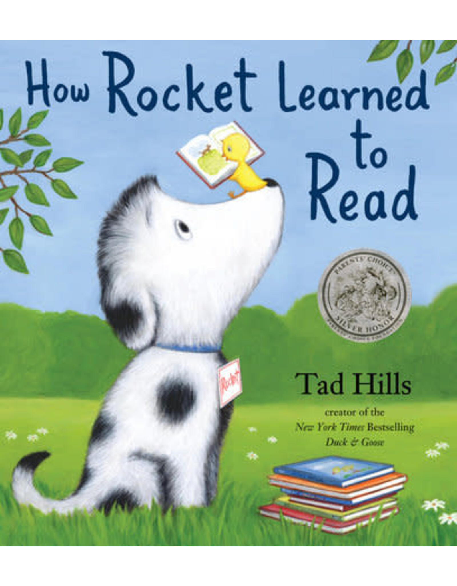 How Rocket Learned to Read