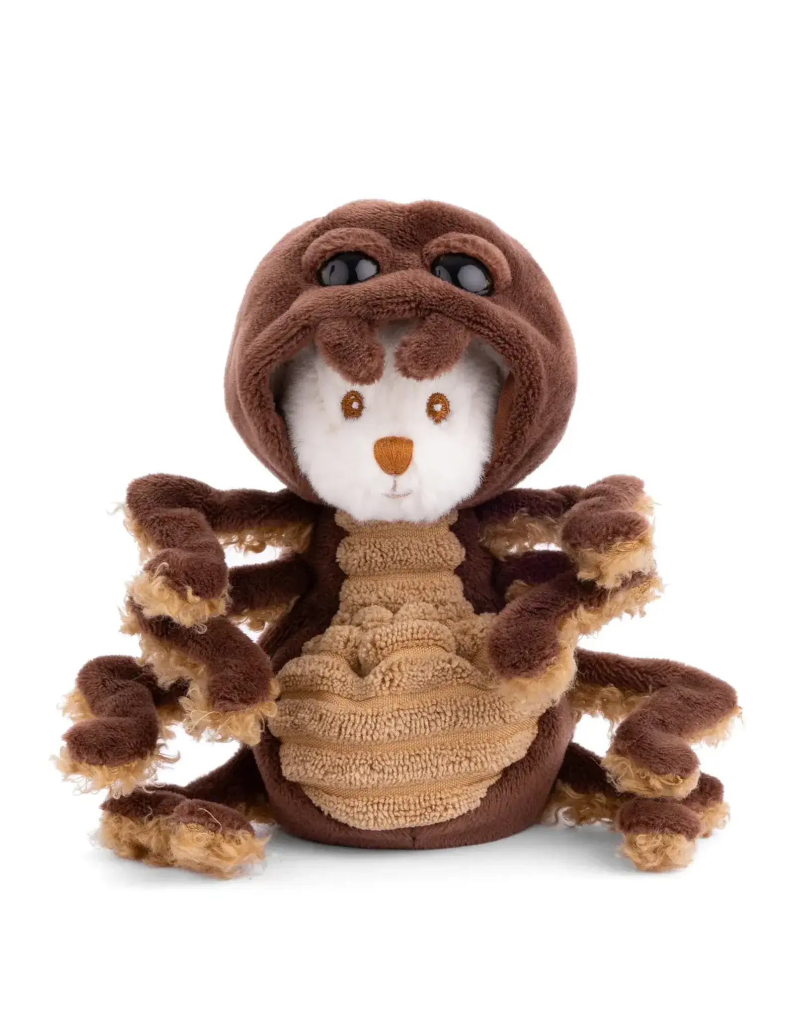 Bukowski Bears Ziggy Spider