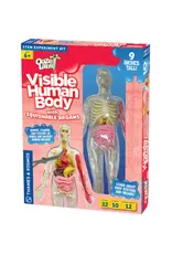 Ooze Labs: Visible Human Body with Squishable Organs