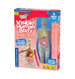 Ooze Labs: Visible Human Body with Squishable Organs